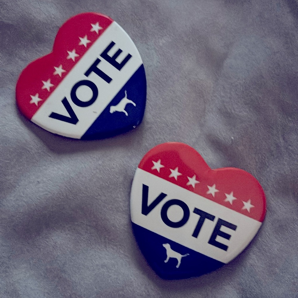 Vintage Victoria’s Secret VOTE pins add to your collectibles!
